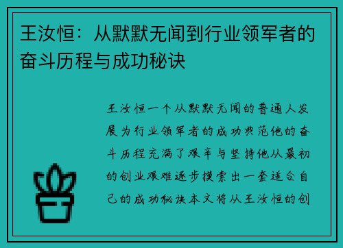 王汝恒：从默默无闻到行业领军者的奋斗历程与成功秘诀