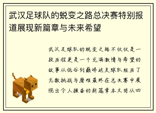 武汉足球队的蜕变之路总决赛特别报道展现新篇章与未来希望