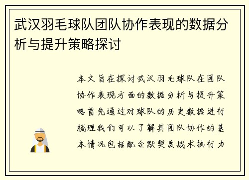 武汉羽毛球队团队协作表现的数据分析与提升策略探讨