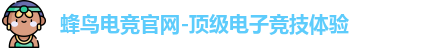蜂鸟电竞